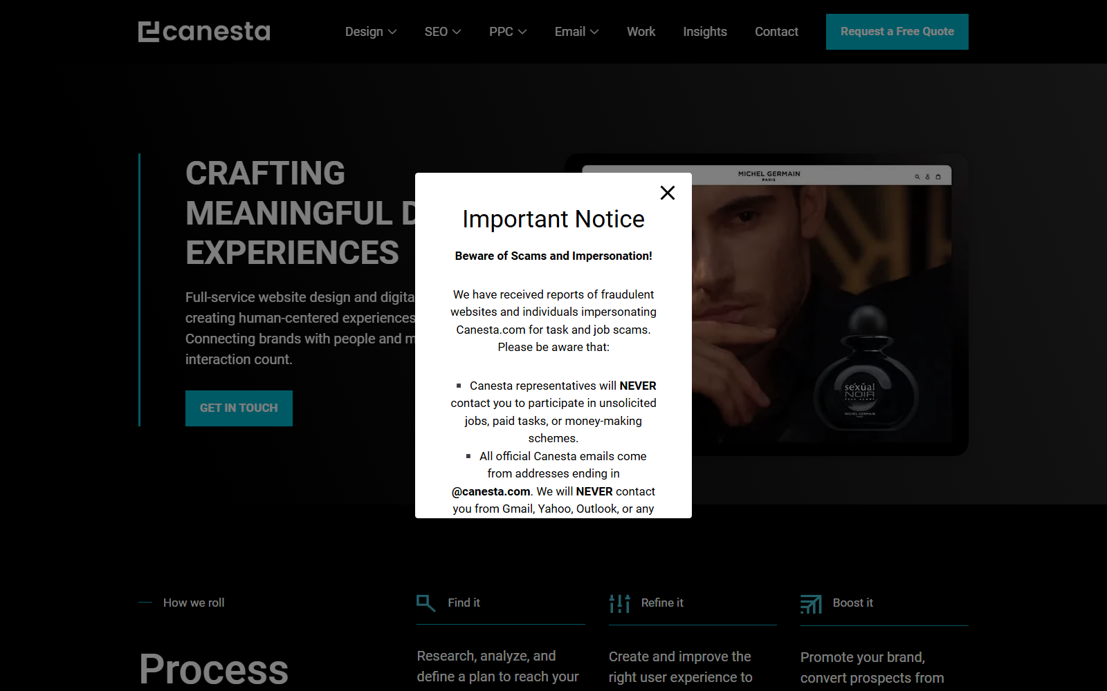 Canesta official website homepage