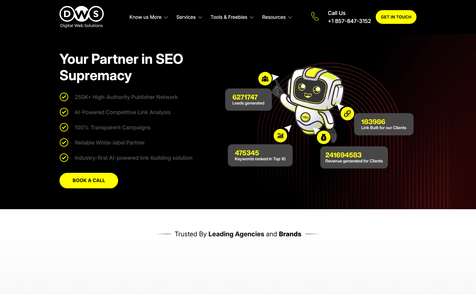 Digital Web Solutions official website homepage