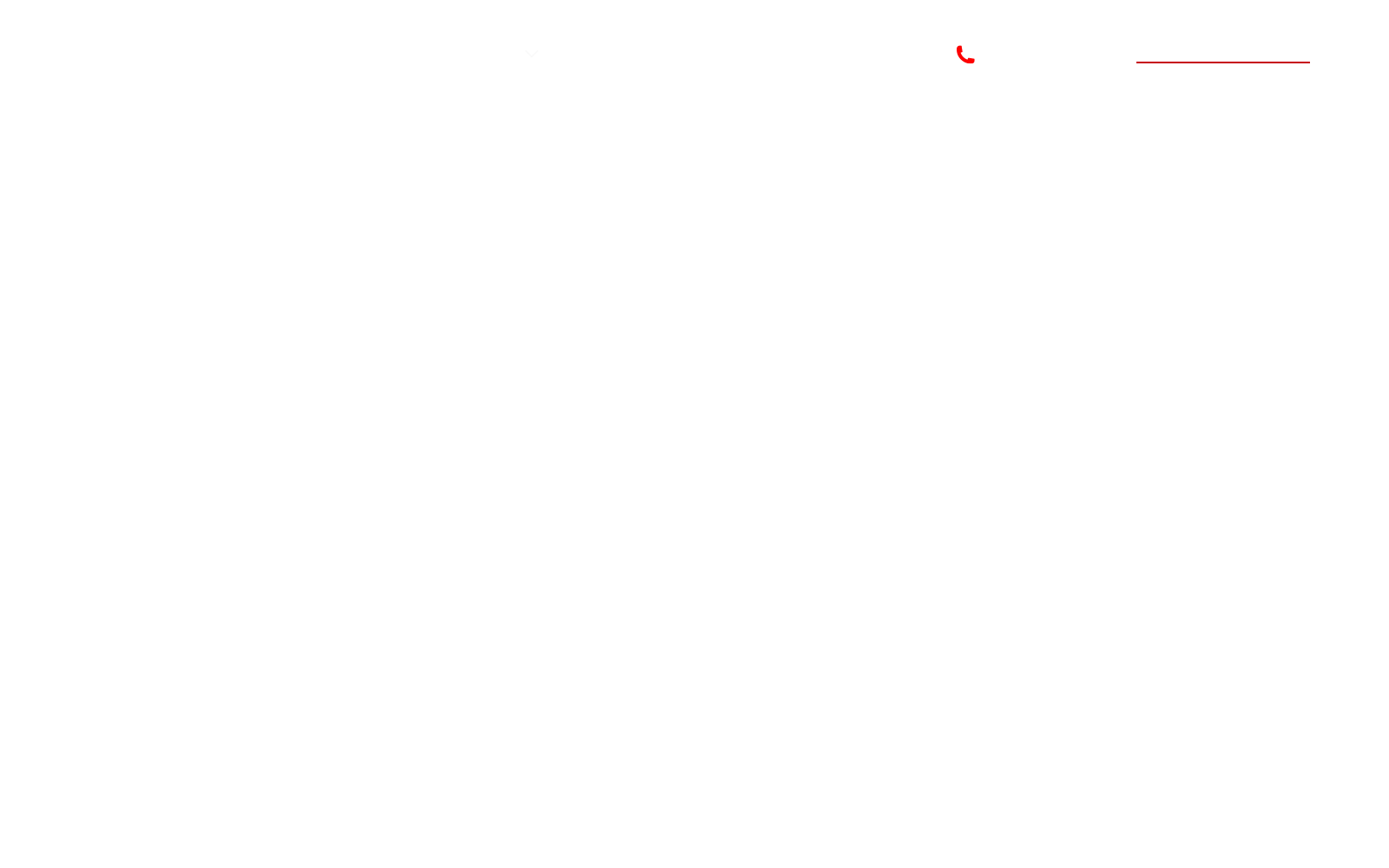 Mimvi SEO official website homepage