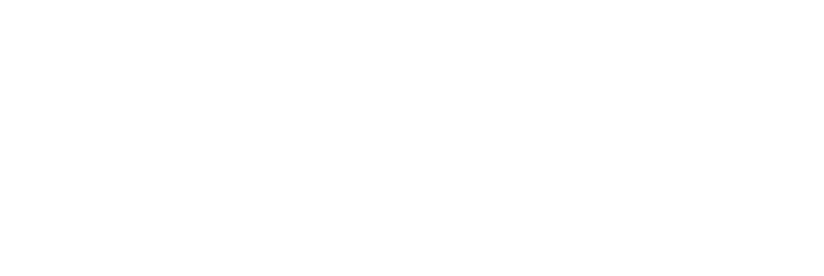 Mimvi SEO logo