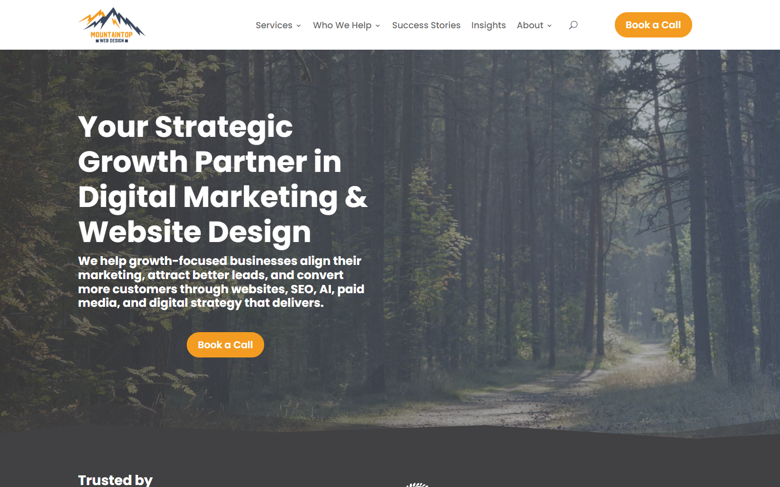 Mountaintop Web Design official website homepage