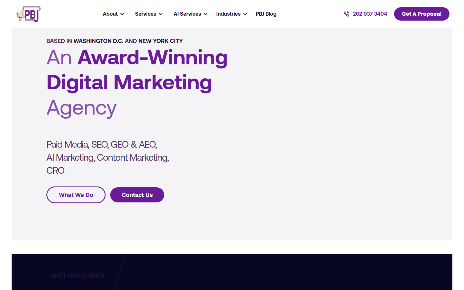 PBJ Marketing official website homepage