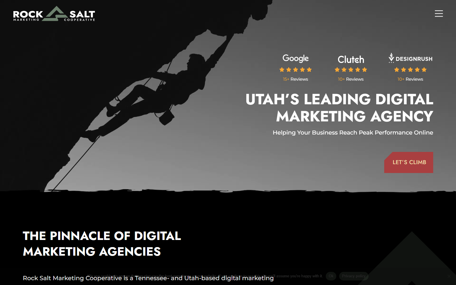 Rock Salt Marketing Cooperative official website homepage