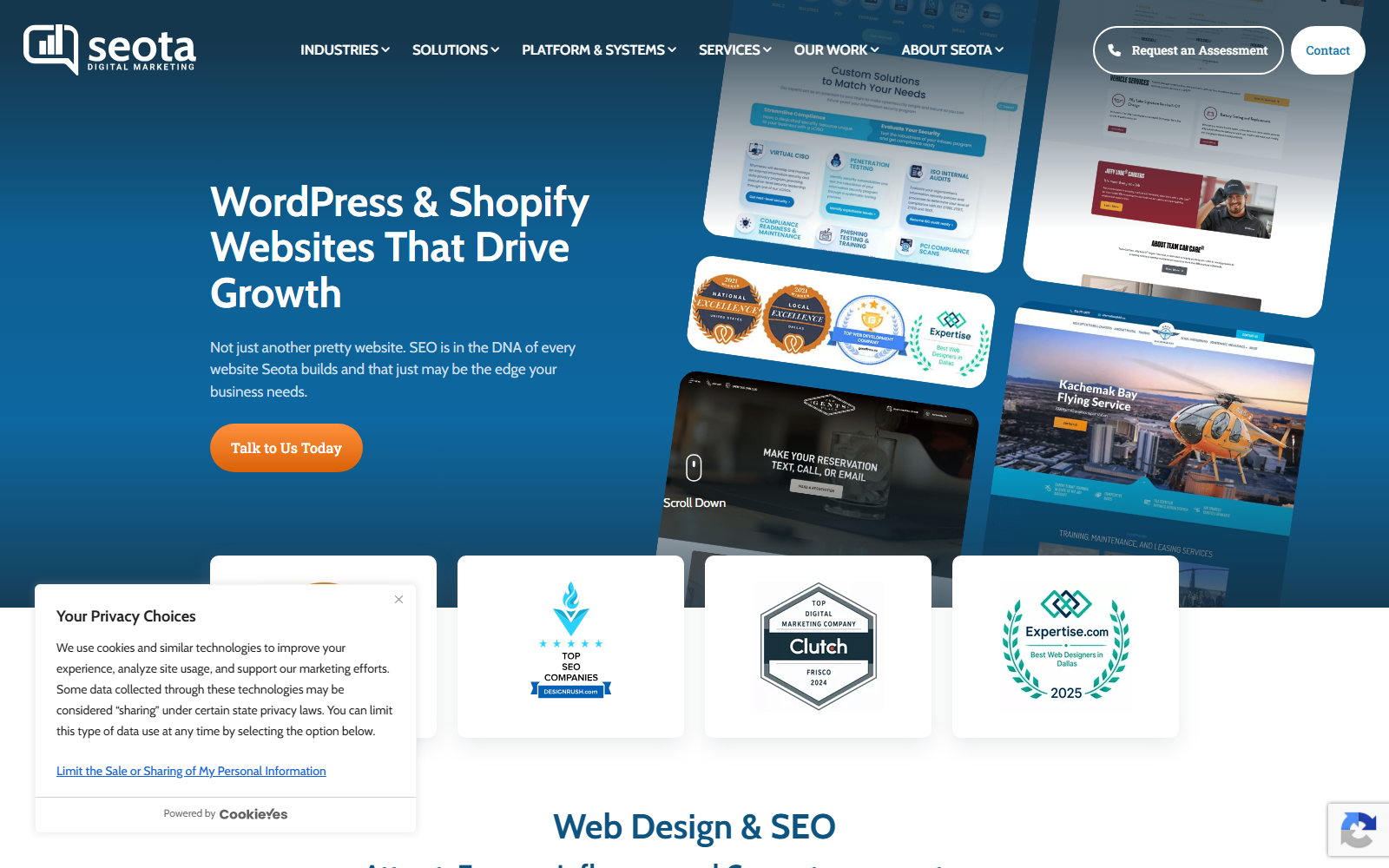 Seota Digital Marketing official website homepage