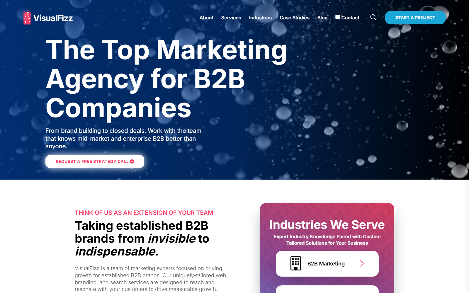 VisualFizz official website homepage